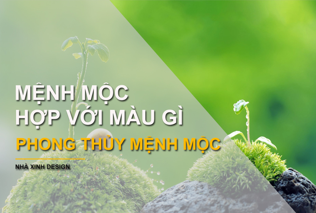 Mệnh mộc hợp màu gì